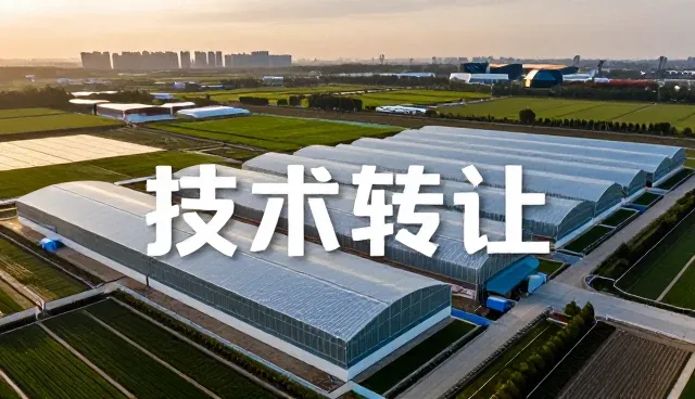 技术培训如何推动成果转化与业务增长