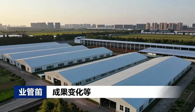 多场景技术支持方案如何提升企业协作效率